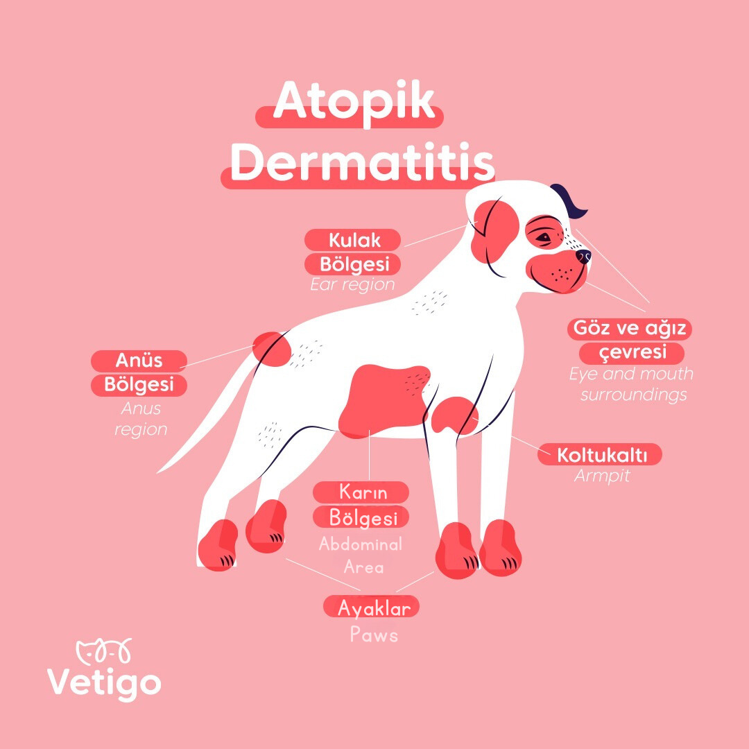 Atopik Dermatit
