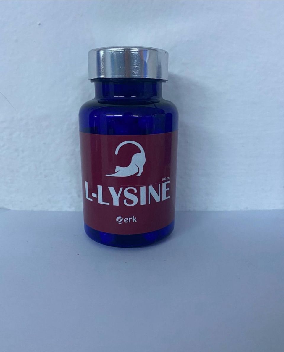 Erk L-Lysine 500 mg 60 Kapsül